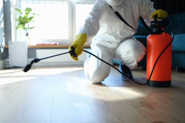 Reliable Odor Removal contractor in Stanton, CA by Trauma Clean Pros